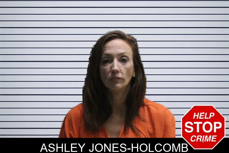 Ashley Jones-Holcomb mugshot
