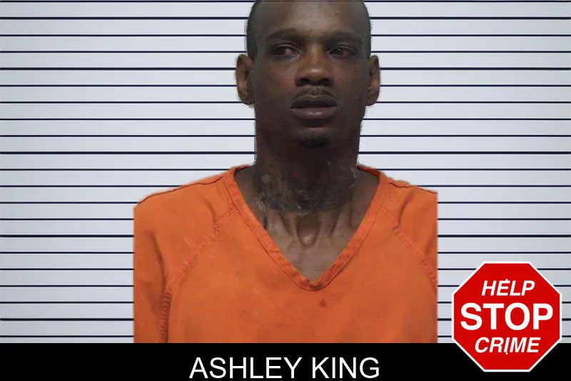 Ashley King mugshot