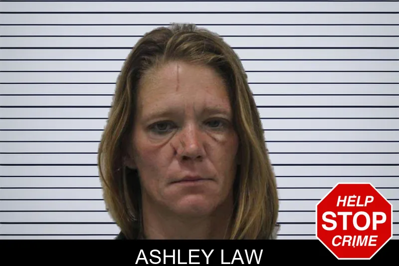 Ashley Law mugshot