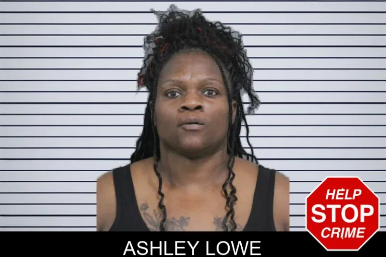 Ashley Lowe mugshot – Catoosa County , Georgia Ashley Lowe