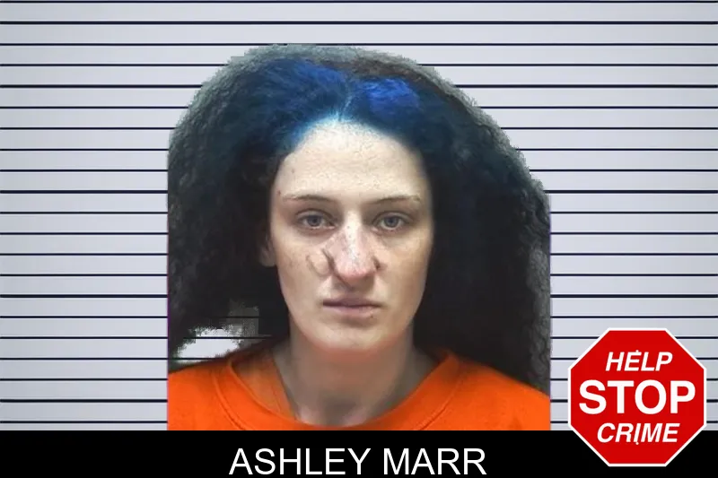 Ashley Marr mugshot