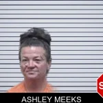 Ashley Meeks mugshot