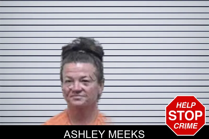 Ashley Meeks mugshot