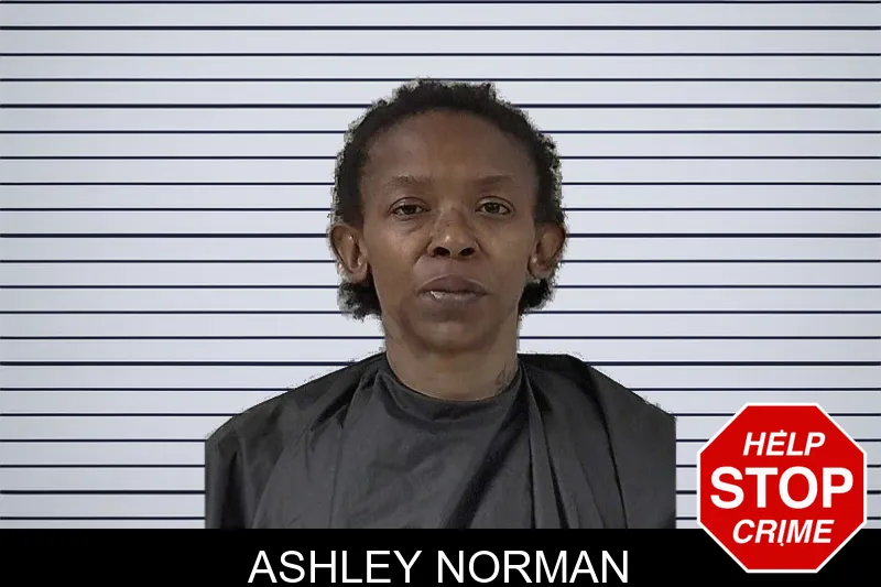 Ashley Norman mugshot