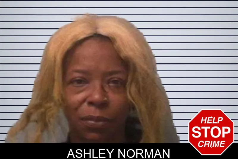 Ashley Norman mugshot
