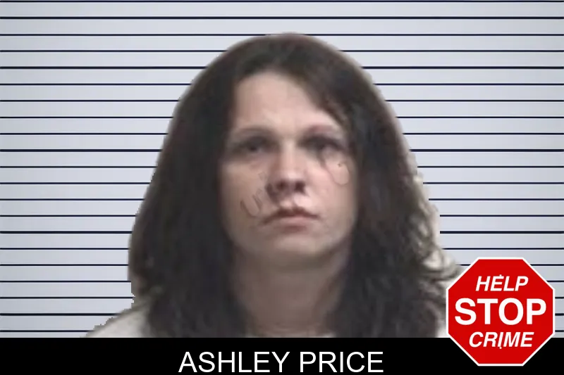 Ashley Price mugshot