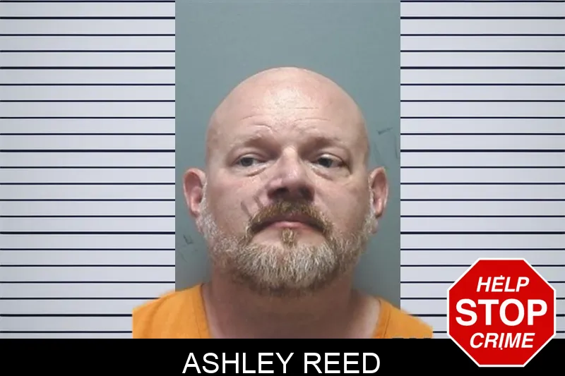 Ashley Reed mugshot