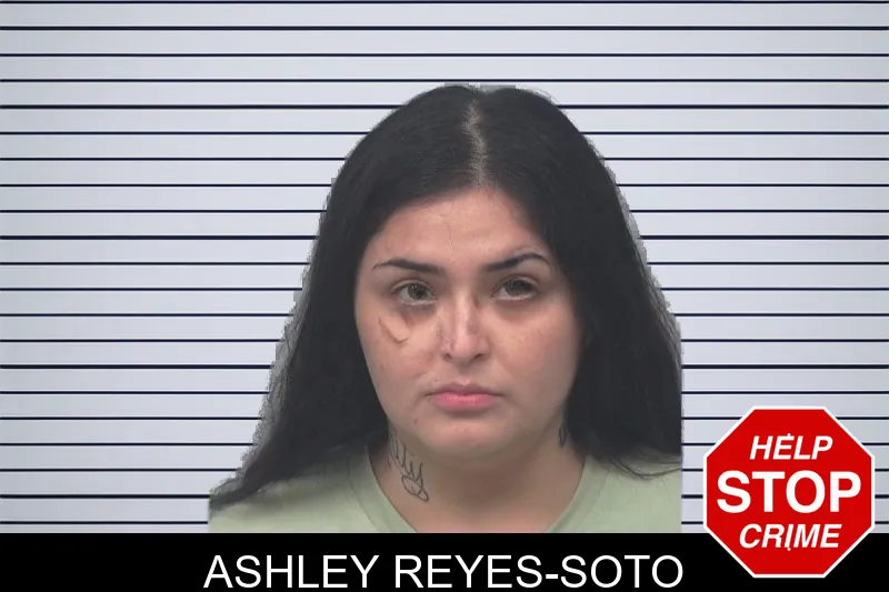 Ashley Reyes-Soto mugshot – Gwinnett County , Georgia Ashley Reyes-Soto mugshot