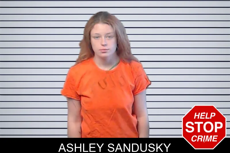 Ashley Sandusky mugshot – DeKalb County , Georgia Ashley Sandusky mugshot