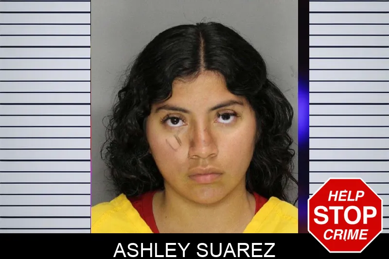 Ashley Suarez mugshot