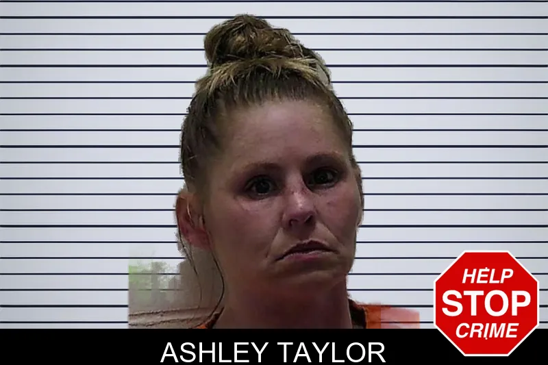 Ashley Taylor mugshot
