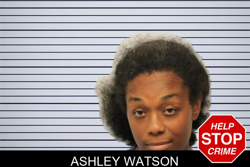 Ashley Watson mugshot