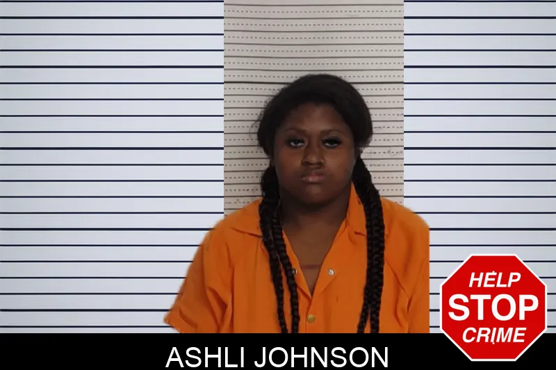 Ashli Johnson mugshot