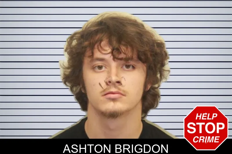 Ashton Brigdon mugshot