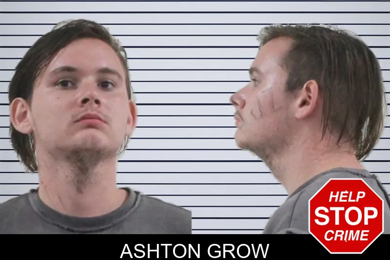 Ashton Grow mugshot