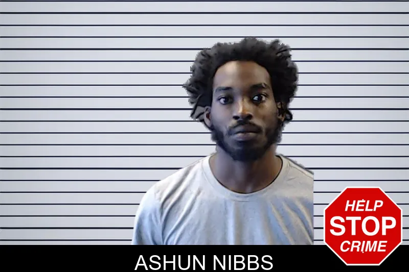 Ashun Nibbs mugshot