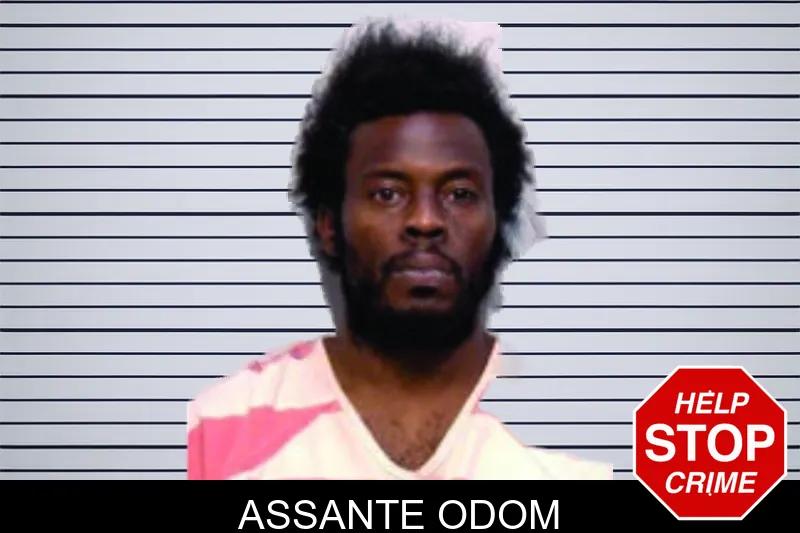 Assante Odom mugshot