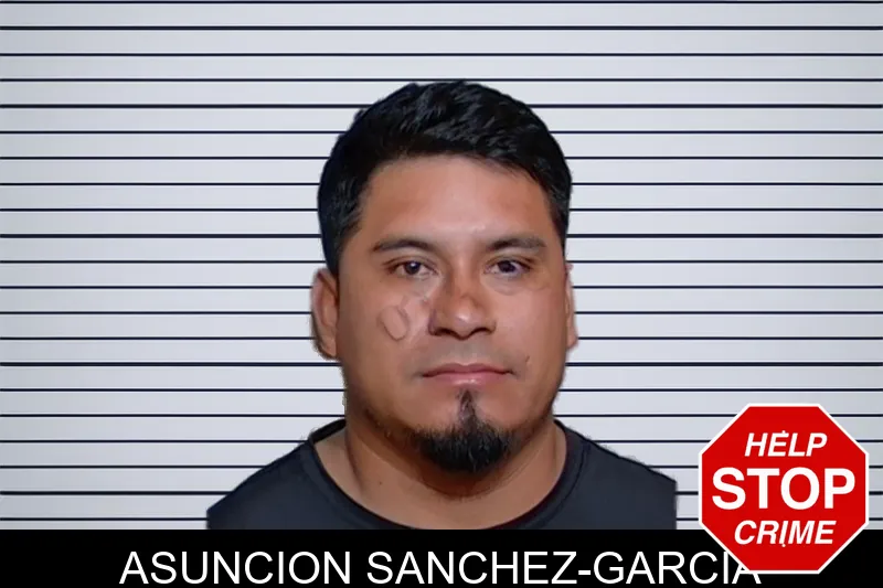 Asuncion Sanchez-Garcia mugshot – Glynn County , Georgia Asuncion Sanchez-Garcia mugshot