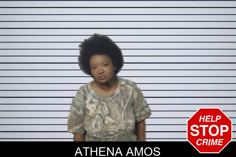 Athena Amos mugshot