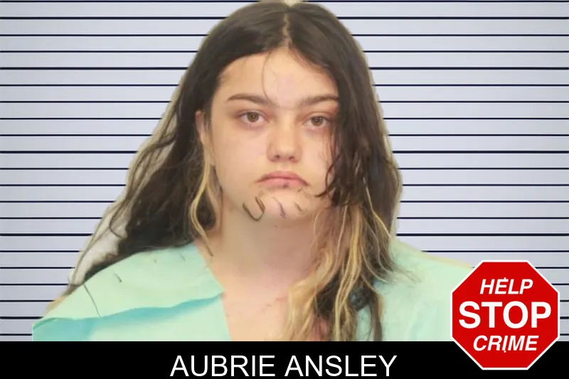 Aubrie Ansley mugshot