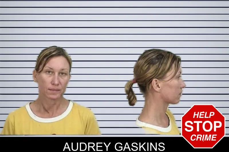 Audrey Gaskins mugshot