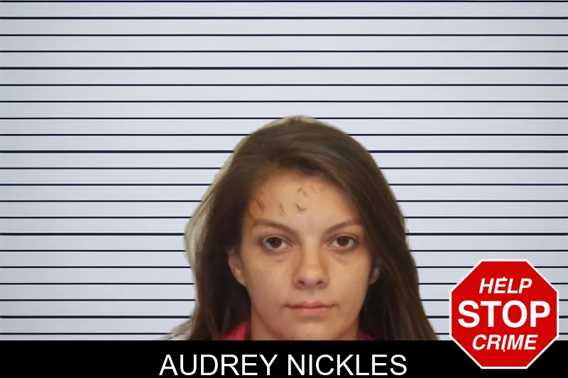 Audrey Nickles mugshot