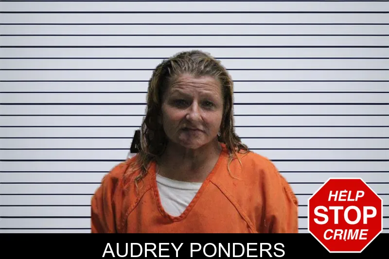 Audrey Ponders mugshot – Murray County , Georgia Audrey Ponders mugshot