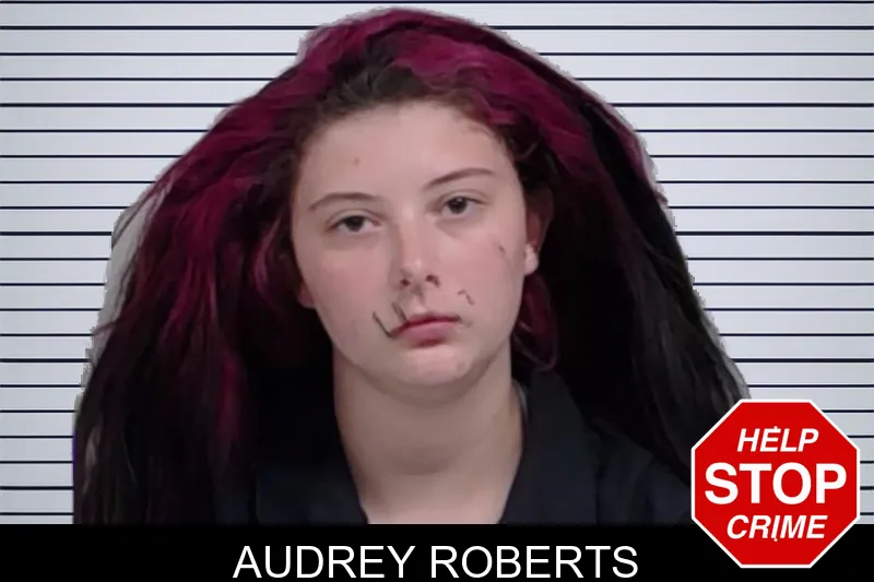 Audrey Roberts mugshot – Lowndes County , Georgia Audrey Roberts mugshot