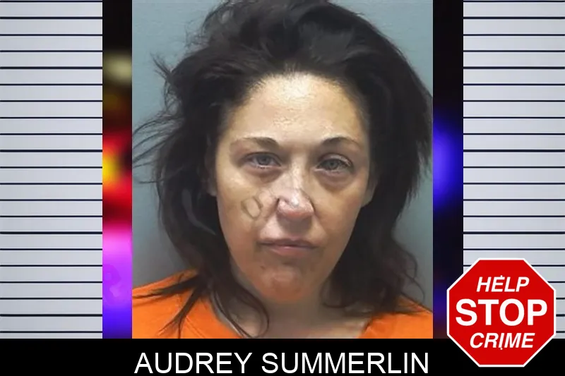 Audrey Summerlin mugshot