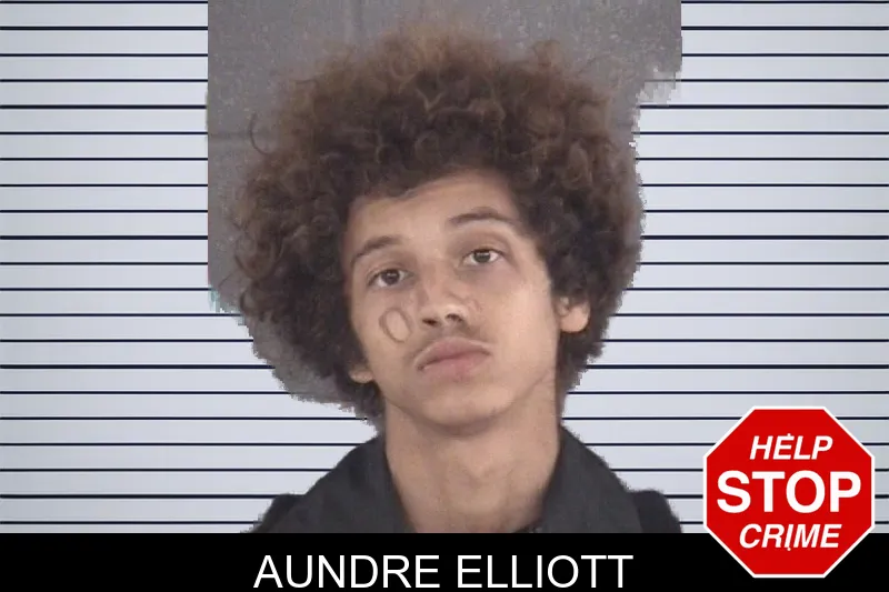 Aundre Elliott mugshot