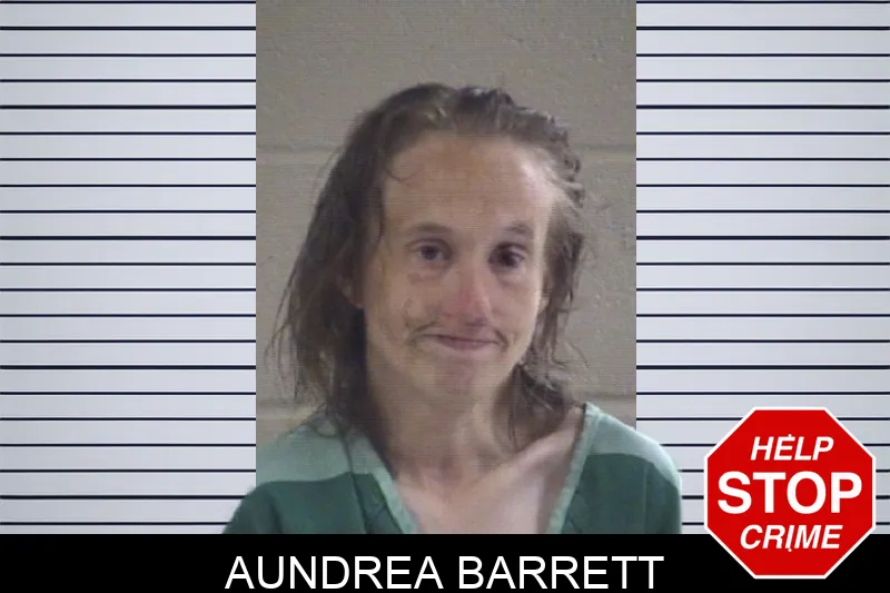 Aundrea Barrett mugshot