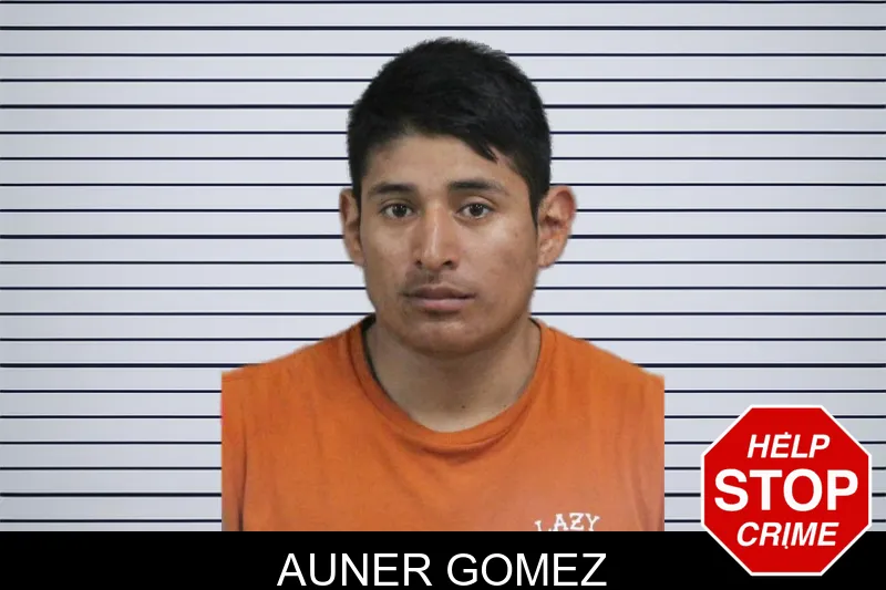 Auner Gomez mugshot