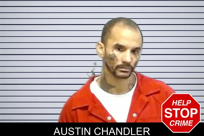 Austin Chandler mugshot