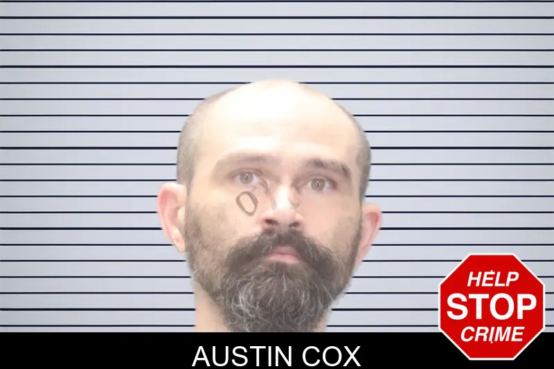 Austin Cox mugshot