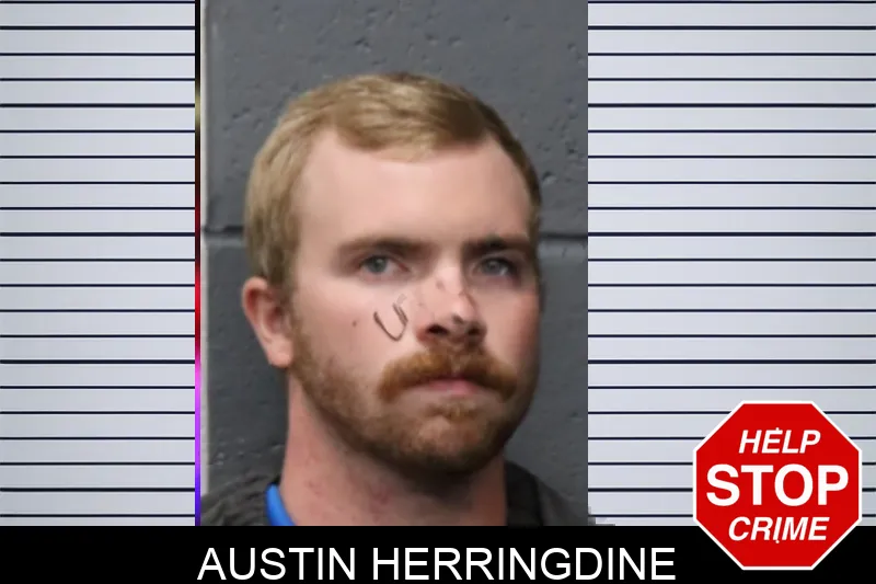 Austin Herringdine mugshot