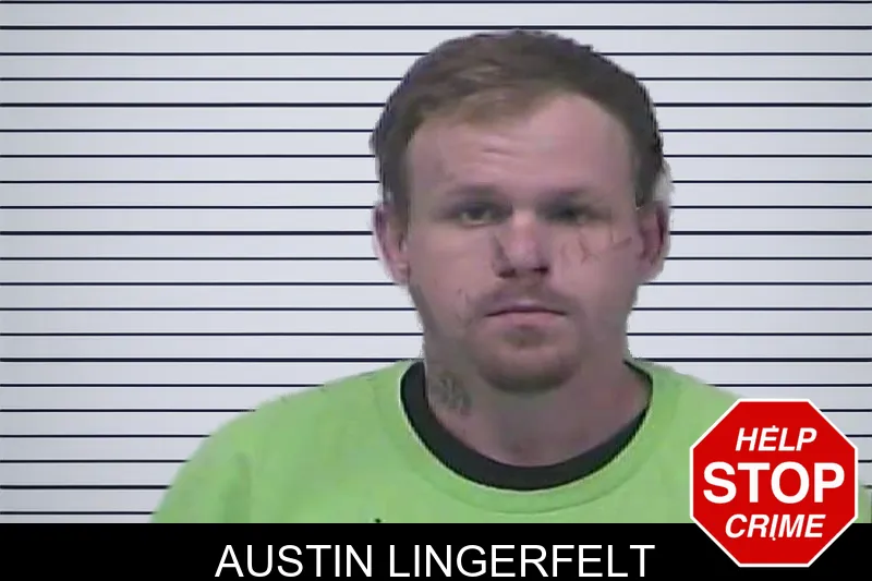 Austin Lingerfelt mugshot