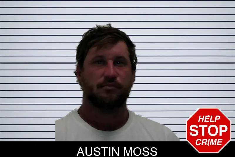 Austin Moss mugshot