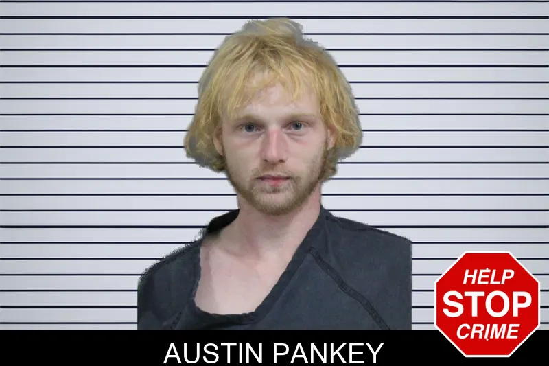 Austin Pankey mugshot