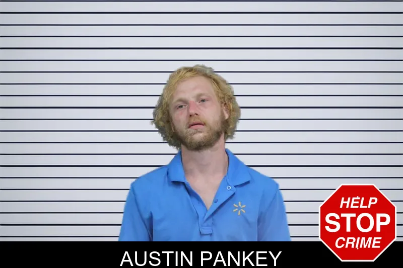 Austin Pankey mugshot