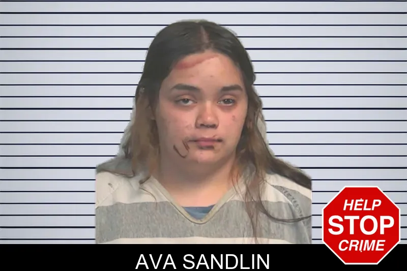 Ava Sandlin mugshot