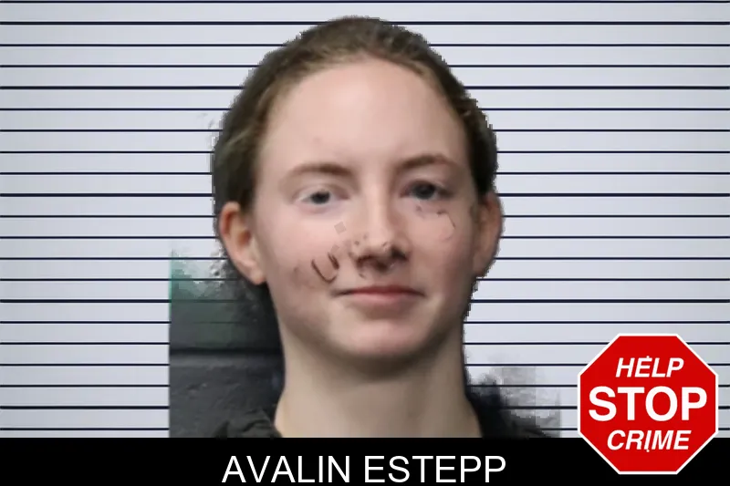 Avalin Estepp mugshot