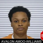 Avalon Amoo-Williams mugshot