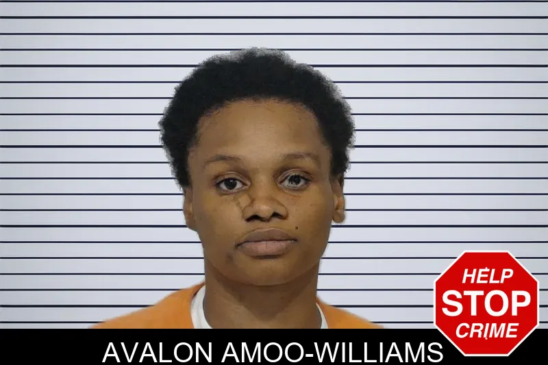 Avalon Amoo-Williams mugshot