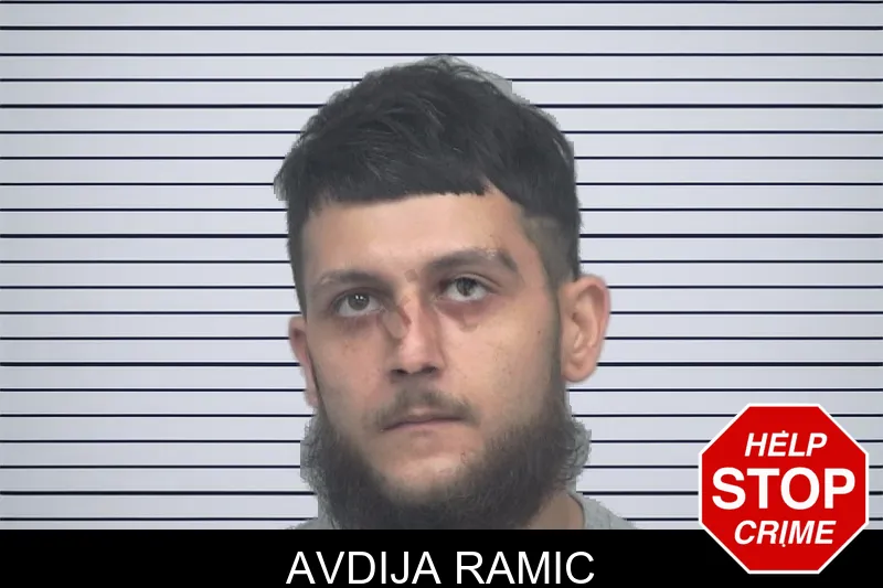Avdija Ramic mugshot