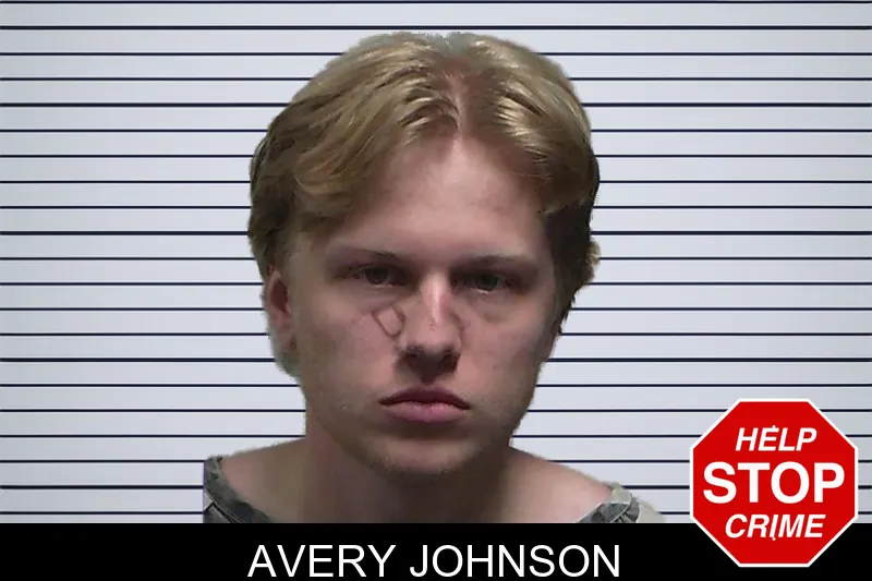 Avery Johnson mugshot – Tift County , Georgia Avery Johnson mugshot