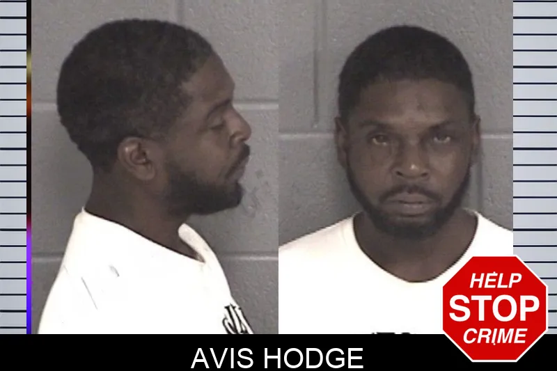 Avis Hodge mugshot