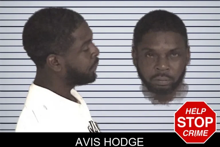 Avis Hodge