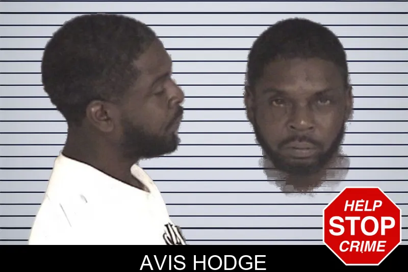 Avis Hodge mugshot