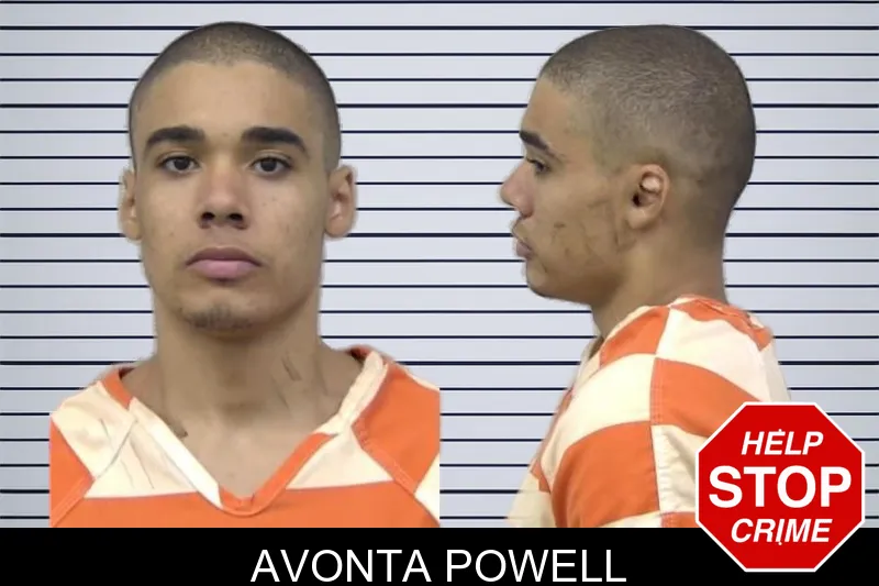 Avonta Powell mugshot – Paulding County , Georgia Avonta Powell mugshot