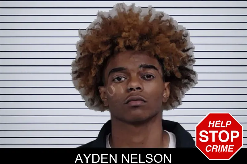 Ayden Nelson mugshot